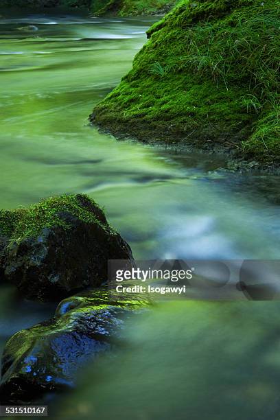 green river - isogawyi foto e immagini stock