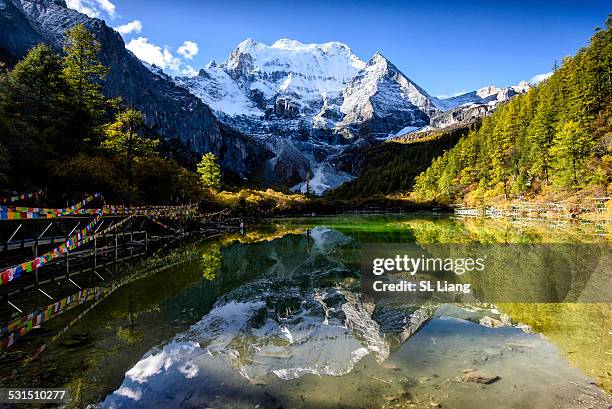 Ya Ding Photos and Premium High Res Pictures Getty Images