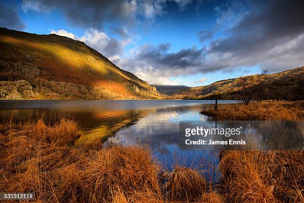 llyn gwynant lake, snowdonia national park, uk - wales winter stock pictures, royalty-free photos & images
