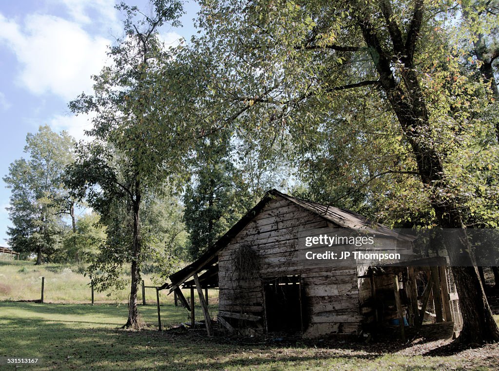 WoodShed