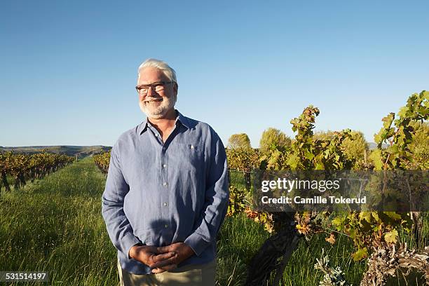 elderly man smiling in a vineyard - grapevine texas stock pictures, royalty-free photos & images