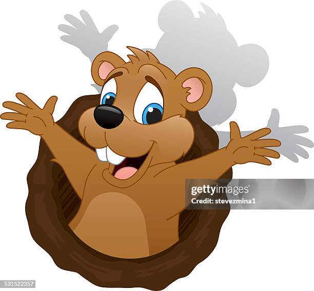 ilustraciones, imágenes clip art, dibujos animados e iconos de stock de groundhog día - marmota canadiense