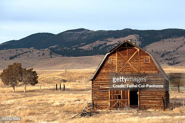 wooden hut in the countryside of  missoula, montana, usa - missoula stock pictures, royalty-free photos & images