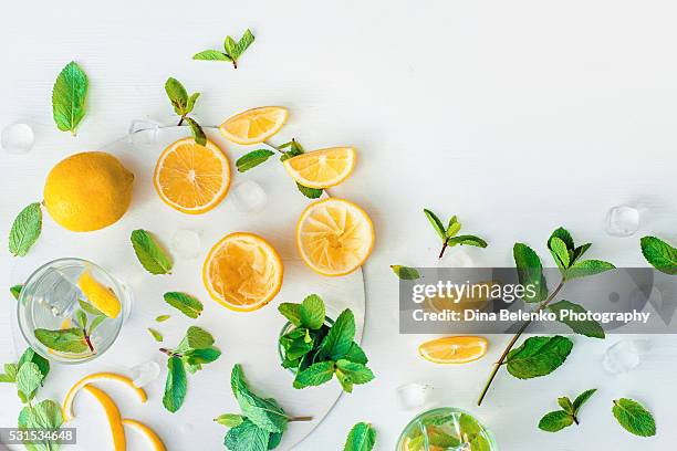 homemade lemonade - menta gastronomía fotografías e imágenes de stock