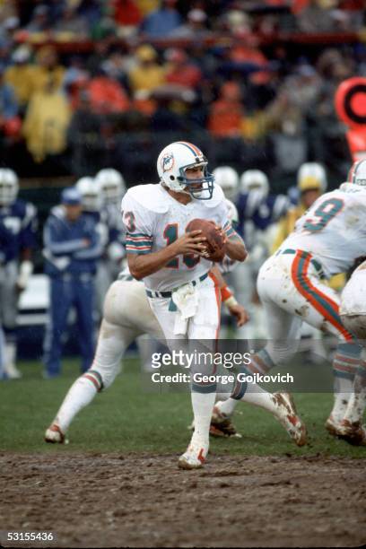 Quarterback Dan Marino of the Miami Dolphins drops back to pass against the Baltimore Colts at Memorial Stadium on October 23, 1983 in Baltimore,...