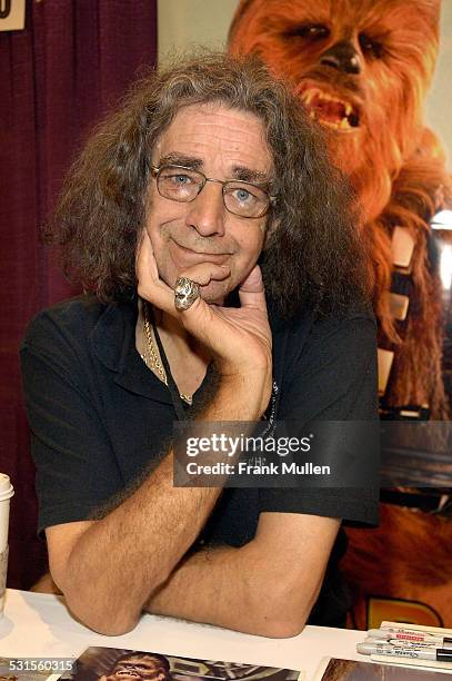 Actor Peter Mayhew appears in the "Walk of Fame" at Dragon*Con on September 1, 2007 in Atlanta, Georgia.