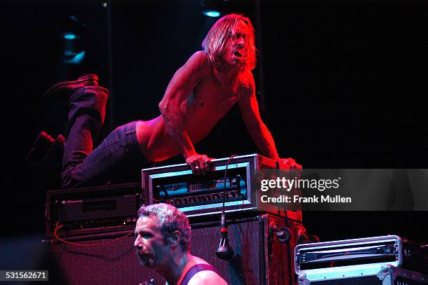 Iggy Pop and Mike Watt of The Stooges during Voodoo Music Experience 2003 - Day Two at City Park in New Orleans, Louisiana, United States.