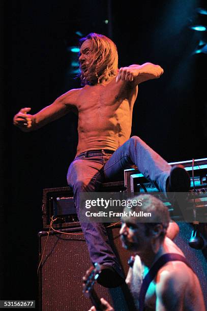 Iggy Pop and Mike Watt of The Stooges during Voodoo Music Experience 2003 - Day Two at City Park in New Orleans, Louisiana, United States.