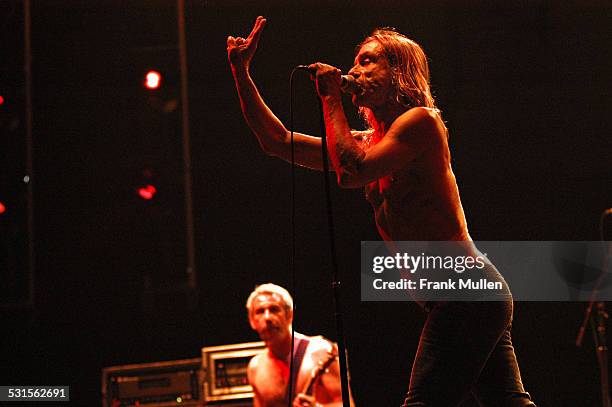 Mike Watt and Iggy Pop of The Stooges during Voodoo Music Experience 2003 - Day Two at City Park in New Orleans, Louisiana, United States.