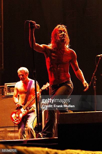 Mike Watt and Iggy Pop of The Stooges during Voodoo Music Experience 2003 - Day Two at City Park in New Orleans, Louisiana, United States.