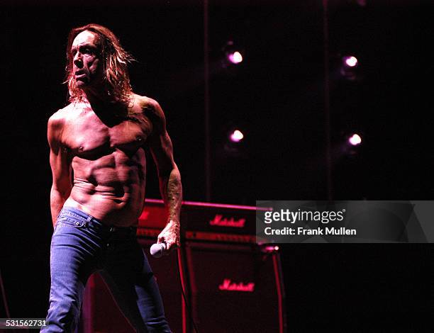 Iggy Pop and the Stooges during Voodoo Music Experience 2003 - Day Two at City Park in New Orleans, Louisiana, United States.
