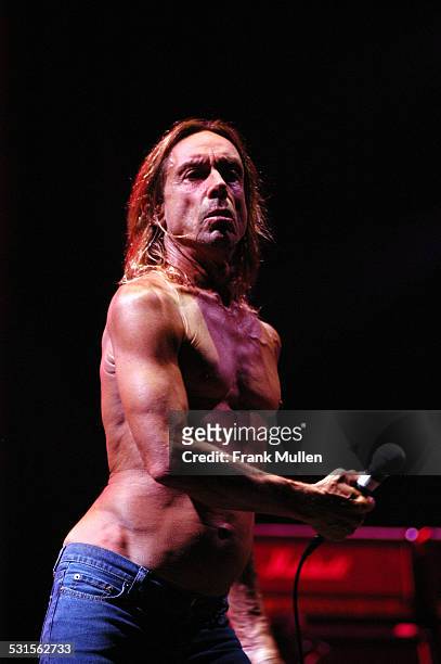 Iggy Pop and the Stooges during Voodoo Music Experience 2003 - Day Two at City Park in New Orleans, Louisiana, United States.