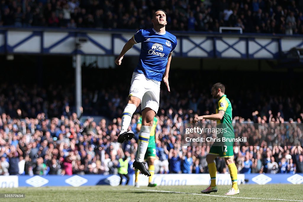 Everton v Norwich City - Premier League