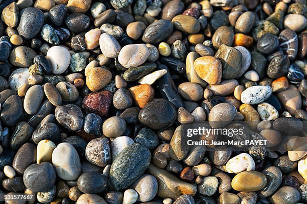 stones on the beach - jean marc payet photos et images de collection