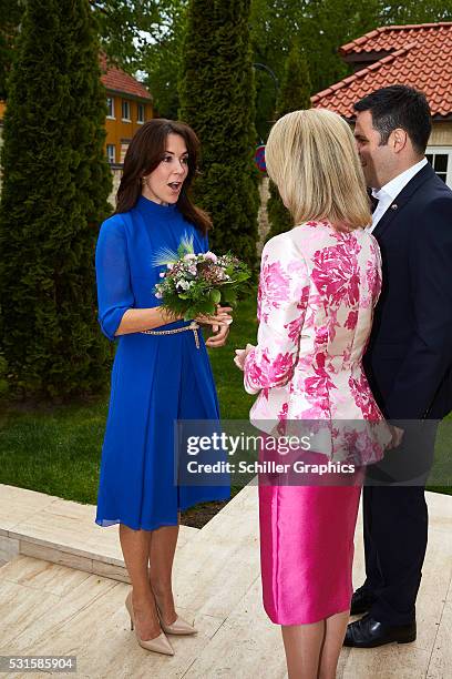 Crown Princess Mary of Denmark, Damien Miller and Natasha Stott Despoja arrive at a reception for Australian delegates attending the Women Deliver...