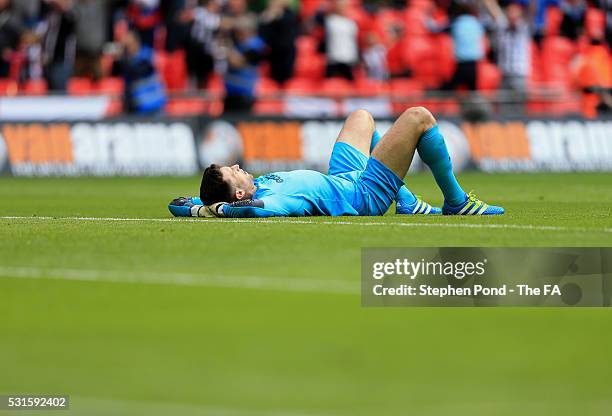 Steve Arnold of Forest Green Rovers reacts after conceding a third goal during the Vanarama Football Conference League: Play Off Final match between...