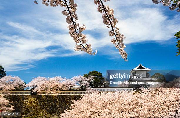 kanazawa castle in ishikawa prefecture, japan - kanazawa stock pictures, royalty-free photos & images