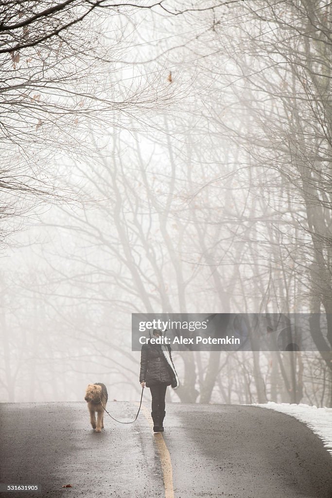 "Adolescente caminhada cachorro em meio à névoa"