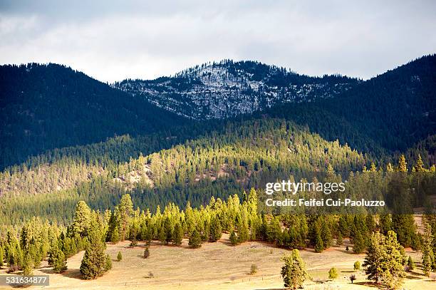 near missoula-montana usa - missoula stock pictures, royalty-free photos & images