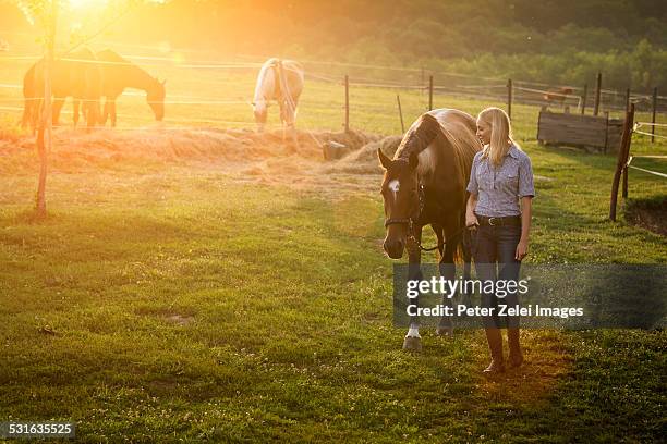 young woman with her horse - horses playing stock pictures, royalty-free photos & images