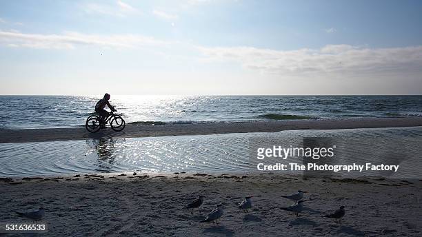 two bicyclists on siesta key beach, florida - siesta key stockfoto's en -beelden