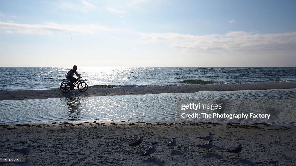 Two Bicyclists on Siesta Key Beach, Florida