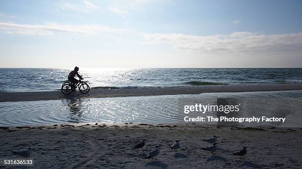 two bicyclists on siesta key beach, florida - siesta key stock pictures, royalty-free photos & images