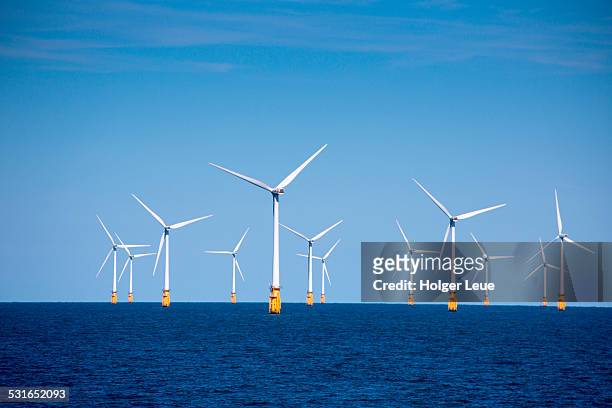 london array offshore wind park in north sea - windmill stock-fotos und bilder