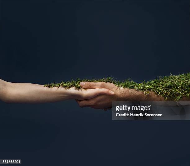 handshake with moss - green hands plant stock pictures, royalty-free photos & images