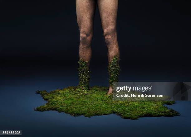 moss growing up of human legs - overgrown stock pictures, royalty-free photos & images