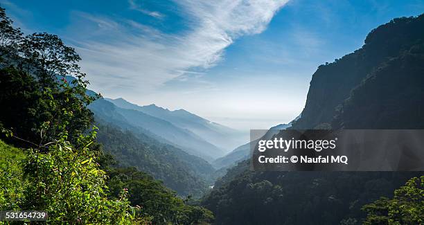 nilgiris mountain range - tamil nadu stockfoto's en -beelden