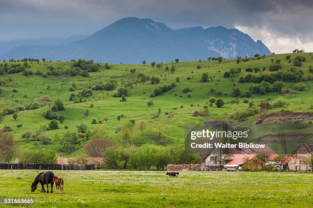 romania, transylvania, exterior - transilvania fotografías e imágenes de stock