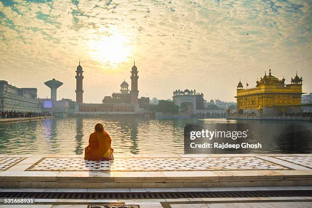 woman pray at golden temple - golden temple india stock pictures, royalty-free photos & images