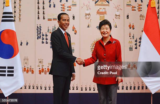 South Korean President Park Geun-Hye shakes hands with Indonesian President Joko Widodo prior to their meeting at the presidential Blue House on May...