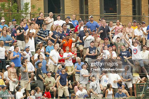 Fans of the Chicago Cubs reach for a home run ball during the game against the Boston Red Sox at Wrigley Field on June 10, 2005 in Chicago, Illinois....