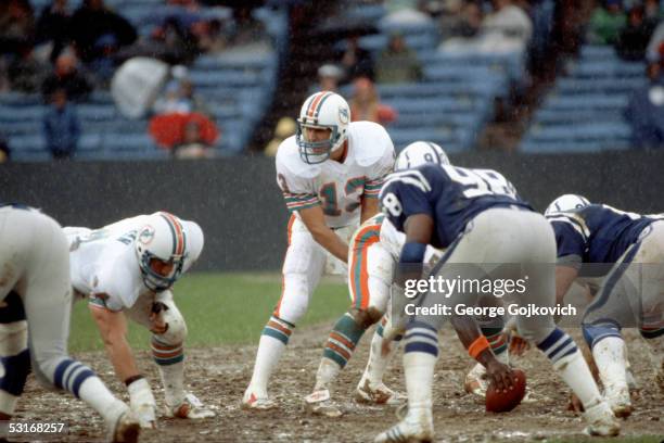 Quarterback Dan Marino of the Miami Dolphins prepares to take the ball from center as rain falls during a game against the Baltimore Colts at muddy...