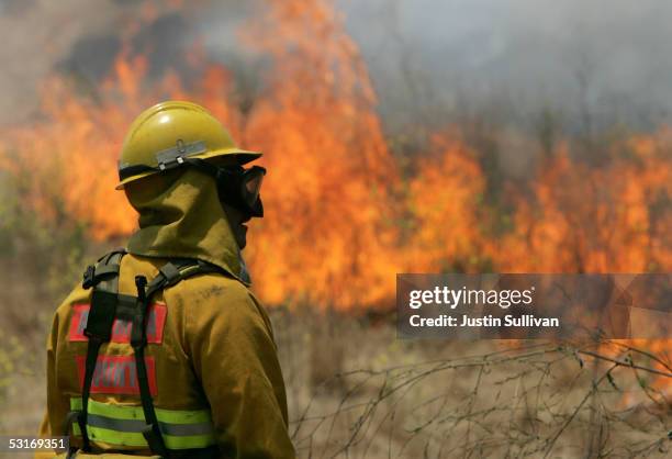 Firefighter looks on at a controlled burn during a multi-agency wildfire drill June 29, 2005 in Dublin, California. In preparation for what is...