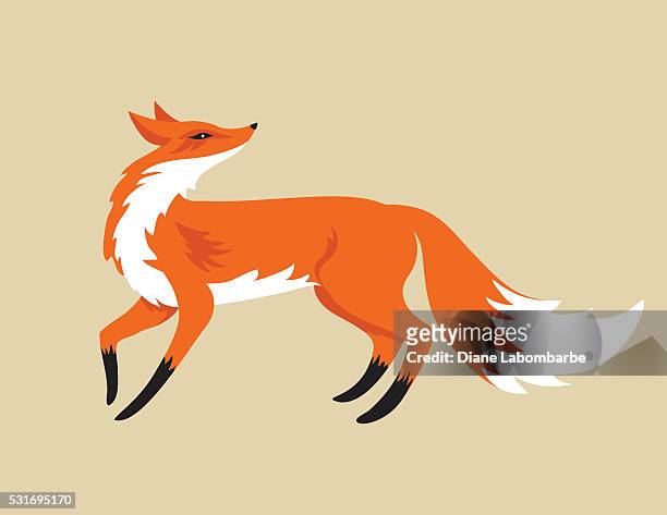 cartoon fox isolated on beige background - looking over shoulder stock illustrations