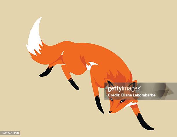 stockillustraties, clipart, cartoons en iconen met cartoon fox isolated on beige background - vos