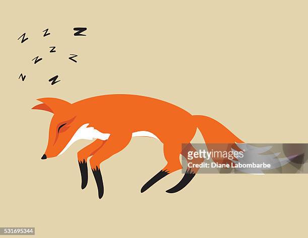 Cartoon Sleeping Fox Isolated On Beige Background High-Res Vector Graphic -  Getty Images