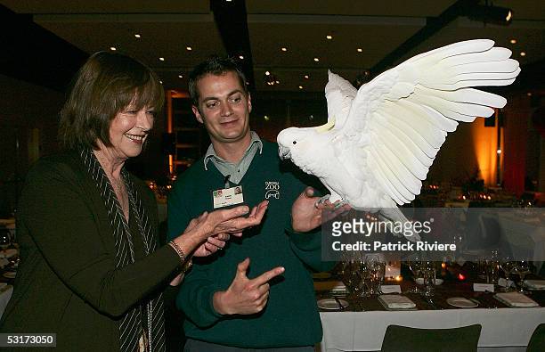 Janelle Kidman tries to feed Elliot the white cockatoo held by zookeeper Simon Brown at the annual fundraising dinner for The Taronga Foundation on...