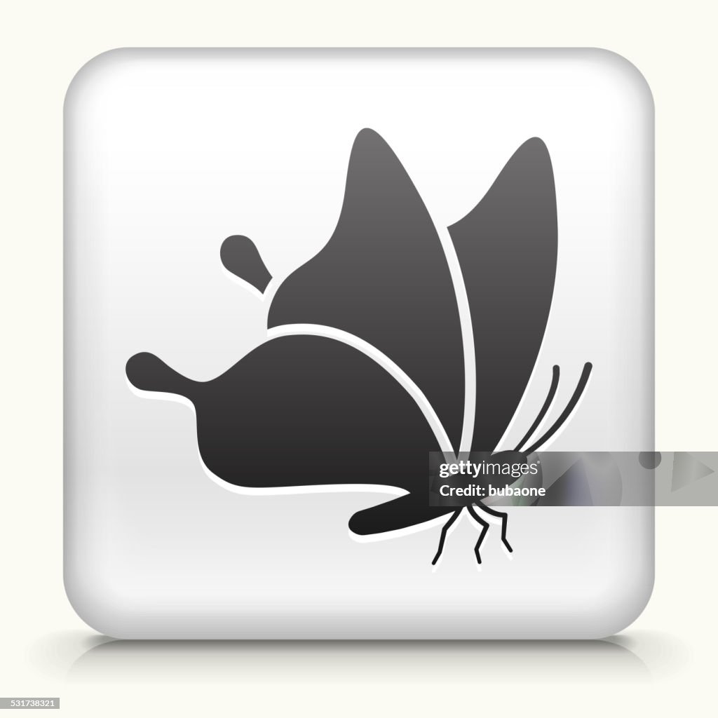 Square Button with Butterfly royalty free vector art