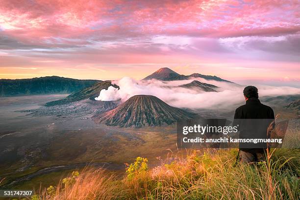 photographer - mount bromo stock pictures, royalty-free photos & images