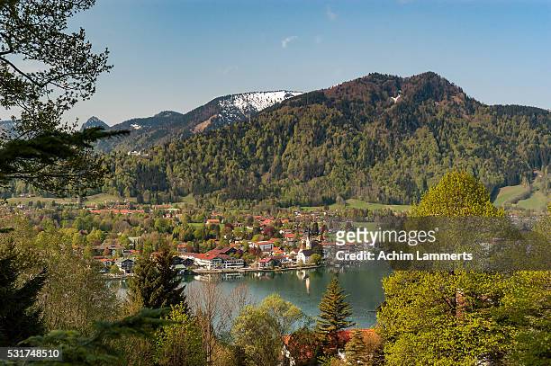 rottach-egern - achim lammerts stock pictures, royalty-free photos & images