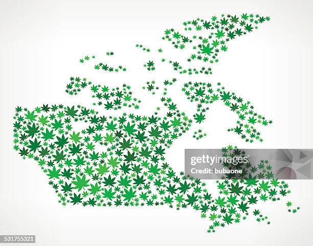 canada map royalty free vector marijuana leaves weed graphic - too small stock illustrations