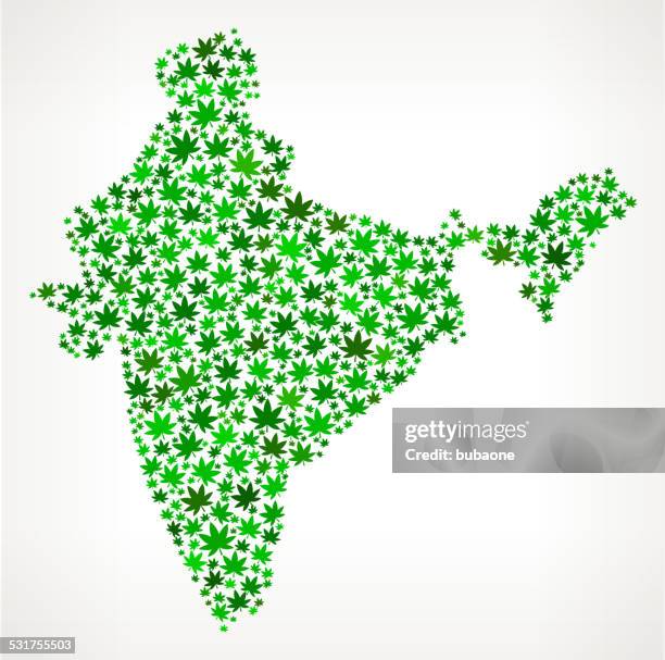 india map royalty free vector marijuana leaves weed graphic - too small stock illustrations