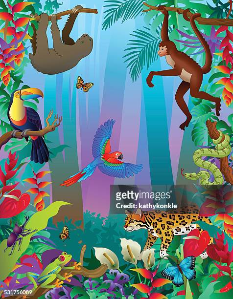 ilustraciones, imágenes clip art, dibujos animados e iconos de stock de animales de la selva tropical amazónica vertical escena con muchos animales - anturio