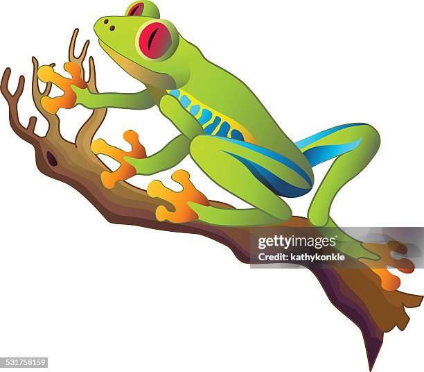 168点のアマガエルイラスト素材 Getty Images 168点のアマガエルイラスト素材 Getty Images