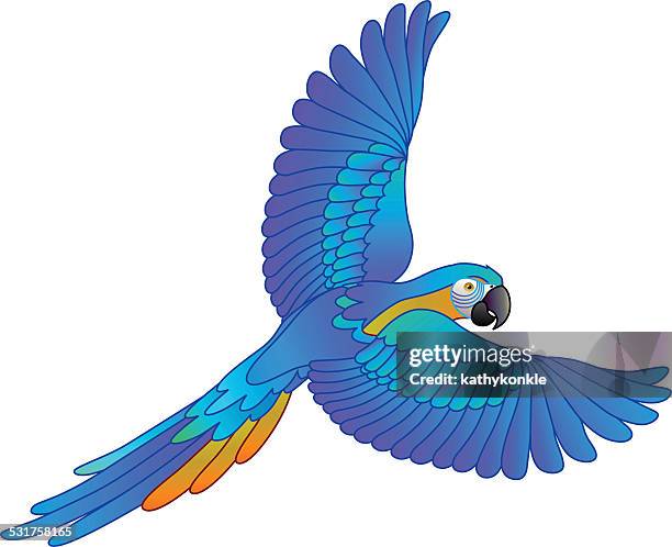 south american rainforest blue and gold macaw flying parrot - blue and yellow macaw stock illustrations