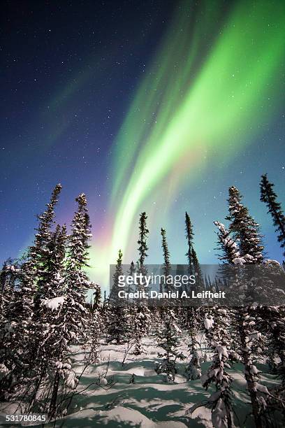 northern lights - mount mckinley stock-fotos und bilder